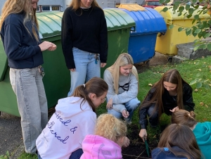 Projekt Krokus